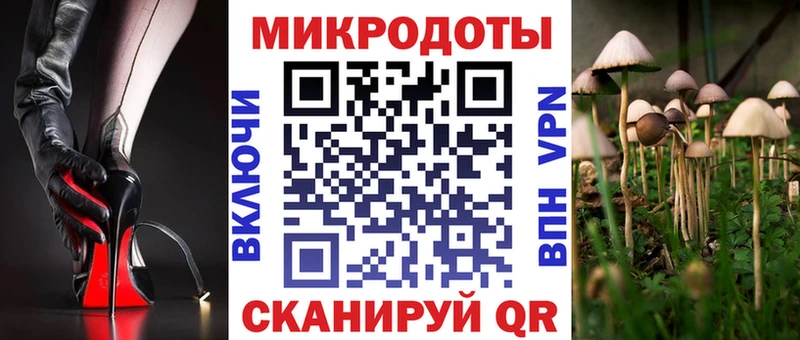 где найти   Гусиноозёрск  Галлюциногенные грибы MAGIC MUSHROOMS 